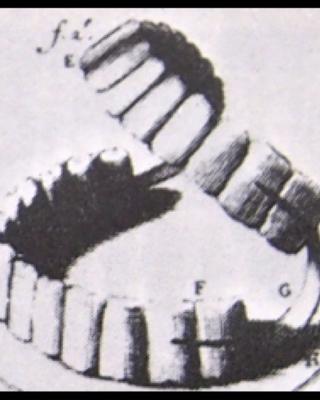 teeth.jpg