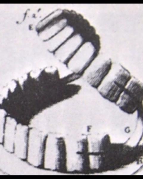 teeth.jpg